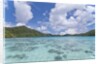 Indonesian island by Anonymous