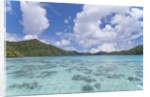 Indonesian island by Anonymous