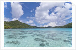 Indonesian island by Anonymous