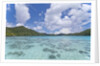 Indonesian island by Anonymous