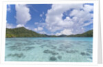 Indonesian island by Anonymous