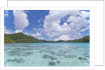 Indonesian island by Anonymous