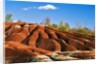 Cheltenham Badlands near Inglewood, Ontario by Anonymous