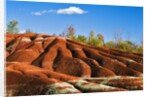 Cheltenham Badlands near Inglewood, Ontario by Anonymous