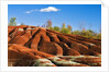Cheltenham Badlands near Inglewood, Ontario by Anonymous