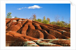 Cheltenham Badlands near Inglewood, Ontario by Anonymous