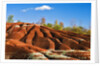 Cheltenham Badlands near Inglewood, Ontario by Anonymous