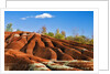 Cheltenham Badlands near Inglewood, Ontario by Anonymous