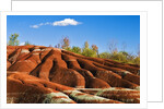 Cheltenham Badlands near Inglewood, Ontario by Anonymous