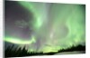Aurora Borealis or Northern Lights, Yukon. by Anonymous