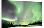 Aurora Borealis or Northern Lights, Yukon. by Anonymous