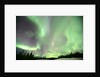 Aurora Borealis or Northern Lights, Yukon. by Anonymous