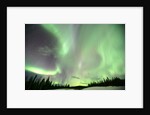 Aurora Borealis or Northern Lights, Yukon. by Anonymous