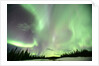 Aurora Borealis or Northern Lights, Yukon. by Anonymous