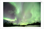 Aurora Borealis or Northern Lights, Yukon. by Anonymous