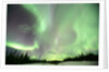 Aurora Borealis or Northern Lights, Yukon. by Anonymous