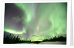 Aurora Borealis or Northern Lights, Yukon. by Anonymous