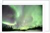 Aurora Borealis or Northern Lights, Yukon. by Anonymous