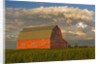 Barn and cumulonimbus cloud mass near Bromhead, Saskatchewan, Canada by Anonymous