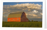 Barn and cumulonimbus cloud mass near Bromhead, Saskatchewan, Canada by Anonymous