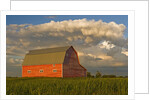 Barn and cumulonimbus cloud mass near Bromhead, Saskatchewan, Canada by Anonymous