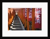 Line of torii gates at Hie Shrine by Anonymous