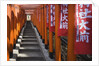 Line of torii gates at Hie Shrine by Anonymous