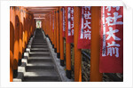 Line of torii gates at Hie Shrine by Anonymous