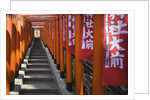 Line of torii gates at Hie Shrine by Anonymous