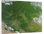 Deforestation in the Amazon Basin, Brazil by Anonymous