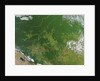 Deforestation in the Amazon Basin, Brazil by Anonymous