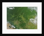 Deforestation in the Amazon Basin, Brazil by Anonymous