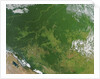 Deforestation in the Amazon Basin, Brazil by Anonymous