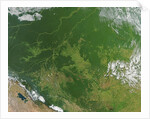 Deforestation in the Amazon Basin, Brazil by Anonymous