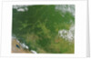Deforestation in the Amazon Basin, Brazil by Anonymous