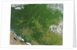 Deforestation in the Amazon Basin, Brazil by Anonymous
