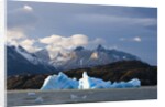 Lago Grey, Torres del Paine National Park, Patagonia, Chile. by Anonymous