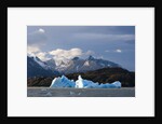 Lago Grey, Torres del Paine National Park, Patagonia, Chile. by Anonymous