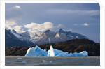Lago Grey, Torres del Paine National Park, Patagonia, Chile. by Anonymous