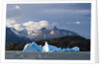 Lago Grey, Torres del Paine National Park, Patagonia, Chile. by Anonymous