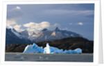 Lago Grey, Torres del Paine National Park, Patagonia, Chile. by Anonymous