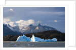 Lago Grey, Torres del Paine National Park, Patagonia, Chile. by Anonymous