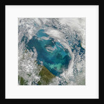 Phytoplankton Bloom in the Barents Sea by Anonymous