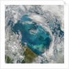 Phytoplankton Bloom in the Barents Sea by Anonymous