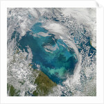Phytoplankton Bloom in the Barents Sea by Anonymous