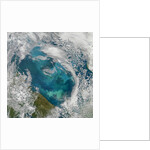 Phytoplankton Bloom in the Barents Sea by Anonymous