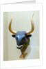 Minoan rhyton in the form of a bull by Anonymous