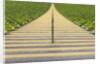 Stadium stairway between rows of green seats by Anonymous