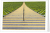 Stadium stairway between rows of green seats by Anonymous