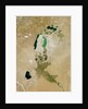 Aral Sea by Anonymous